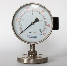 Flush Flanged Flaped diaphragm Seal Pressure Gauge