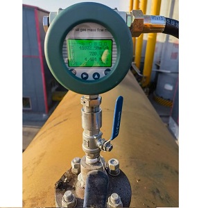 Pengukur aliran biogas