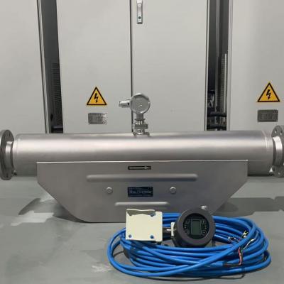 Coriolis Mass Flow Meters for Petrochemical Flow Measurement - 翻译中...